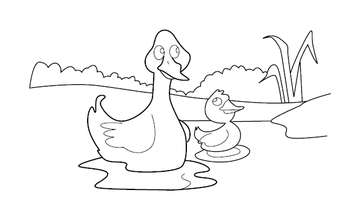 Duck Coloring Page | Free Colouring Book for Children