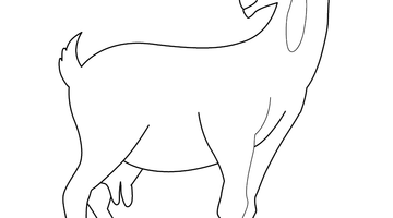 GOAT COLOURING PAGE | Free Colouring Book for Children