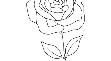 ROSE COLOURING PAGE | Free Colouring Book for Children