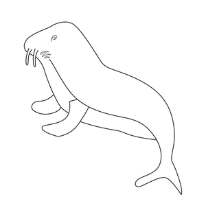 Sea Lion Colouring Page | Free Colouring Book for Children