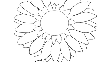 Sunflower Colouring Picture | Free Colouring Book for Children