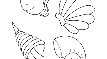 Seashell Colouring Page | Free Colouring Book for Children