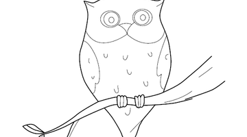 Owl Colouring Picture | Free Colouring Book for Children