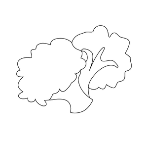 BROCCOLI COLOURING PAGE | Free Colouring Book for Children