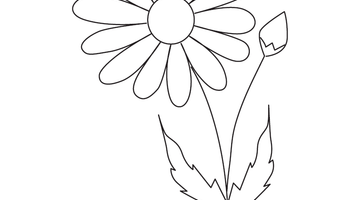 DAISY FLOWER COLOURING IMAGE | Free Colouring Book for Children