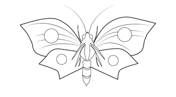 FREE PRINTABLE BUTTERFLY COLOURING PICTURE | Free Colouring Book for Children