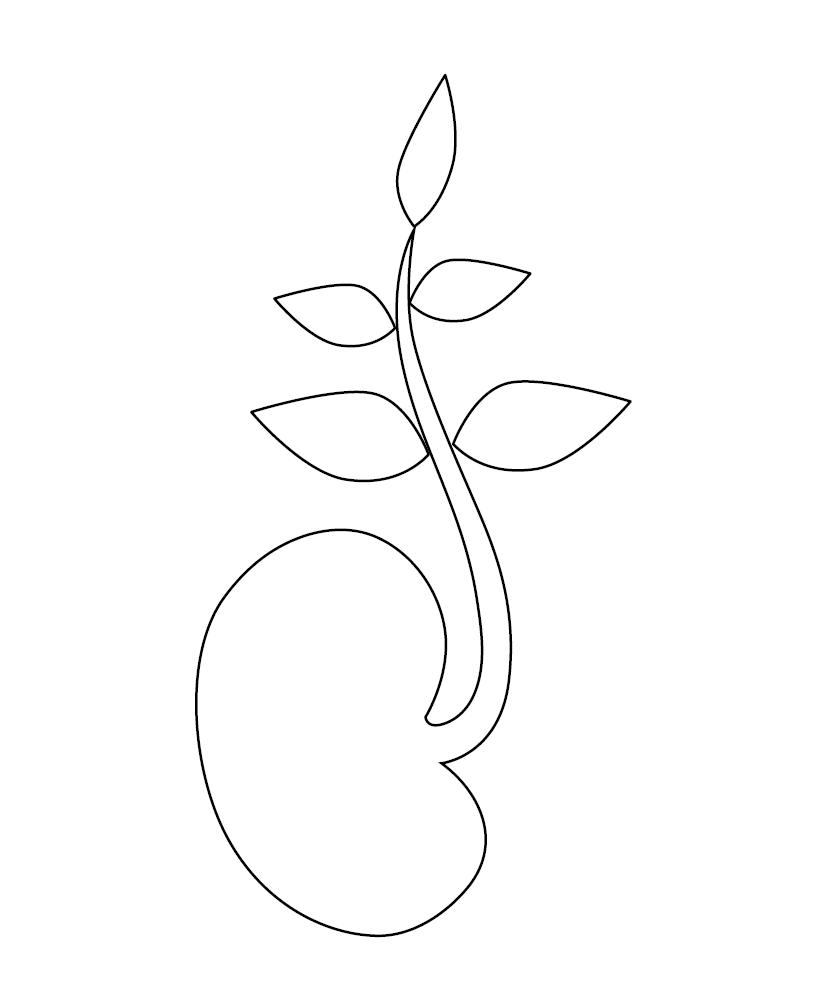 Growing Seed Colouring Picture | Free Colouring Book for Children ...
