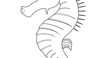 SEAHORSE COLOURING PICTURE | Free Colouring Book for Children