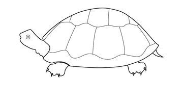 Tortoise Colouring Picture | Free Colouring Book for Children