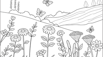 Wildflowers and Meadows Colouring Page | Free Colouring Book for Children