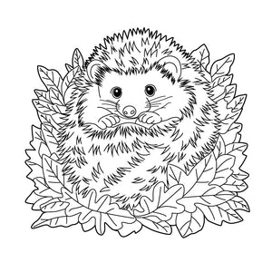 Hedgehog Among Leaves Colouring Page