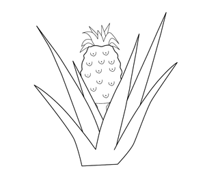 Pineapple Colouring Picture | Free Colouring Book for Children