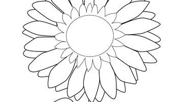 SUN FLOWER COLOURING PAGE | Free Colouring Book for Children