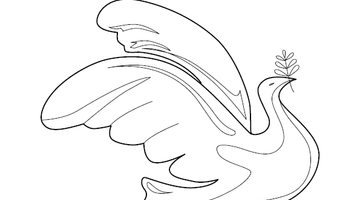 Dove Colouring Page | Free Colouring Book for Children