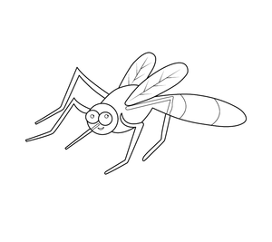 MOSQUITO COLOURING IMAGE | Free Colouring Book for Children