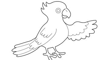 PARROT COLOURING IMAGE | Free Colouring Book for Children