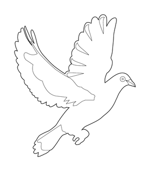 PIGEON COLOURING PAGE | Free Colouring Book for Children