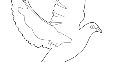 PIGEON COLOURING PAGE | Free Colouring Book for Children