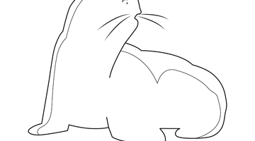 Seal Colouring Picture | Free Colouring Book for Children