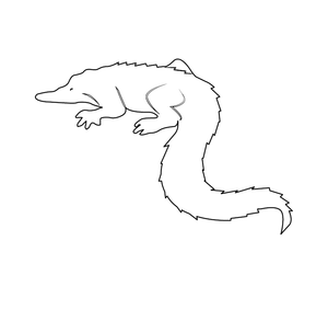 Alligator/ Crocodile Colouring Picture | Free Colouring Book for Children