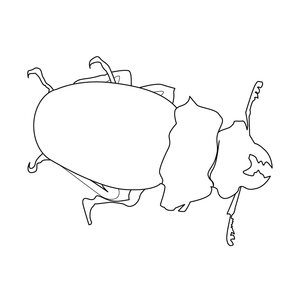 BEETLE COLOURING IMAGE | Free Colouring Book for Children