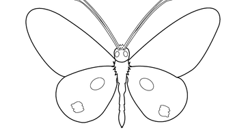 BUTTERFLY COLOURING PAGE FOR KIDS | Free Colouring Book for Children