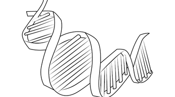 FREE DNA STRUCTURE COLOURING SHEET | Free Colouring Book for Children