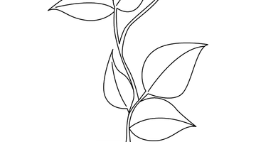 PLANT COLOURING IMAGE FOR KIDS | Free Colouring Book for Children