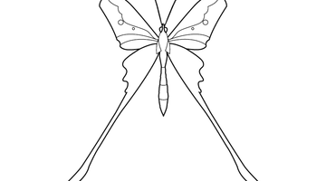 BUTTERFLY COLOURING IMAGE FOR KIDS | Free Colouring Book for Children