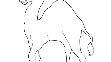 CAMEL COLOURING IMAGE | Free Colouring Book for Children