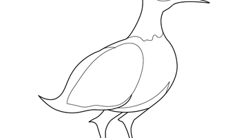 FREE PRINTABLE BIRD COLOURING PICTURE | Free Colouring Book for Children