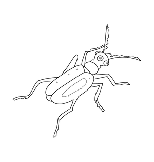 LOCUST COLOURING PICTURE | Free Colouring Book for Children