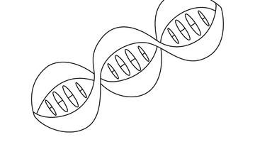 PRINTABLE DNA STRUCTURE COLOURING PAGE | Free Colouring Book for Children