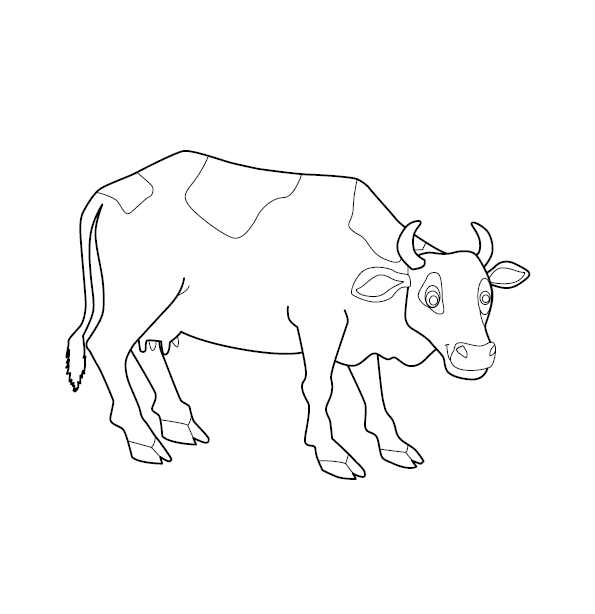 cow colour and black and white Stock Vector Image & Art - Alamy