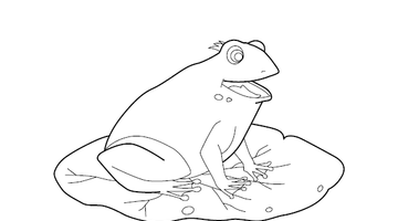 Frog Colouring Image | Free Colouring Book for Children