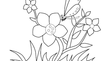 Flower Colouring Picture | Free Colouring Book for Children