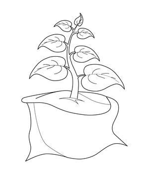 Plant Colouring Page | Free Colouring Book for Children