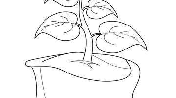 Plant Colouring Page | Free Colouring Book for Children