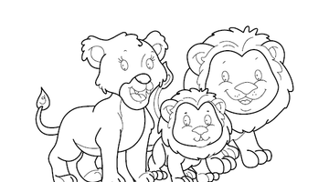 Lion Family Colouring Image | Free Colouring Book for Children