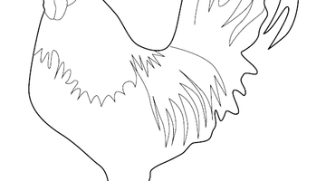 Hen Colouring Page | Free Colouring Book for Children