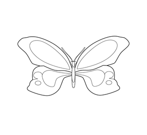 FREE PRINTABLE BUTTERFLY ILLUSTRATION | Free Colouring Book for Children