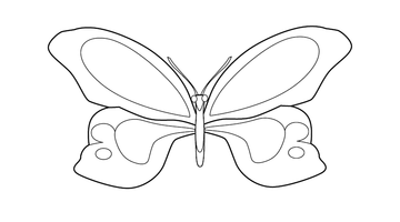 FREE PRINTABLE BUTTERFLY ILLUSTRATION | Free Colouring Book for Children