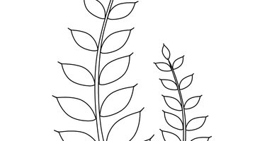 Leaf Colouring Page for kids | Free Colouring Book for Children