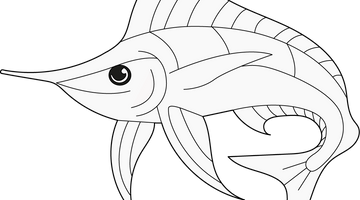 Swordfish Colouring Page for Children | Free Colouring Book for Children