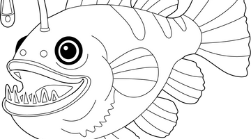 Angler Fish Colouring Page | Free Colouring Book for Children