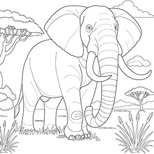 African Elephant Colouring Page