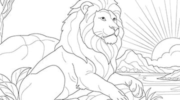 Lion at Sunset Colouring Page