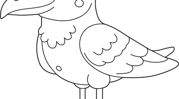 Seagull Colouring Page | Free Colouring Book for Children