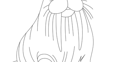 Walrus Colouring Page | Free Colouring Book for Children