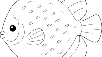 Free Printable Discus Fish Colouring Page | Free Colouring Book for Children